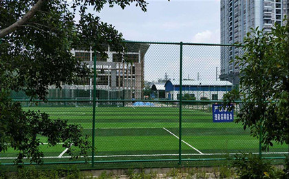 6edca8efe148d2e45bd5749b56dd8e4.jpg